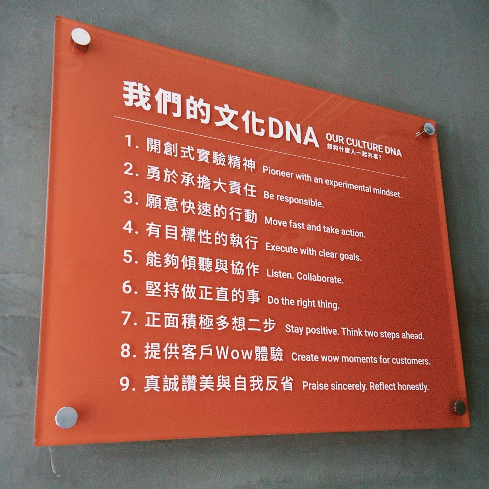 Team MJ文化DNA-SH
